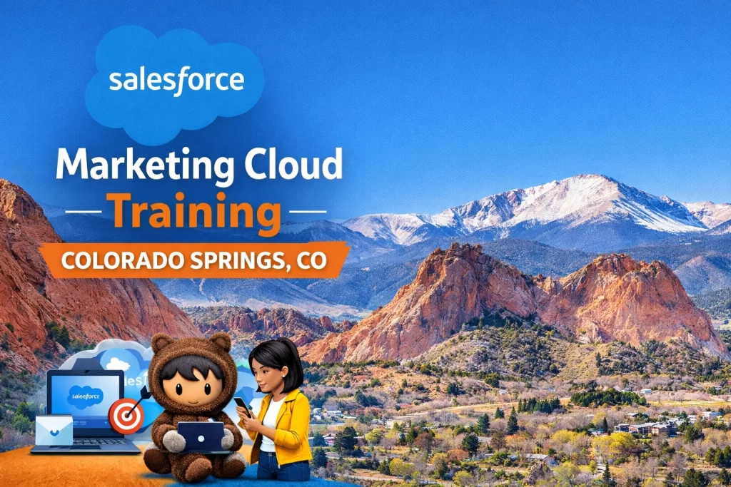 Salesforce Marketing Cloud Training Colorado Springs